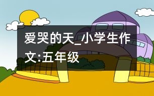 愛哭的天_小學(xué)生作文:五年級(jí)