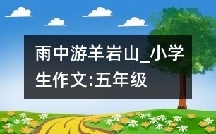 雨中游羊巖山_小學生作文:五年級