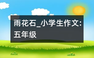 雨花石_小學(xué)生作文:五年級(jí)