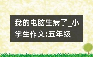 我的電腦生病了_小學(xué)生作文:五年級(jí)