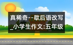 真稀奇--歇后語(yǔ)改寫_小學(xué)生作文:五年級(jí)