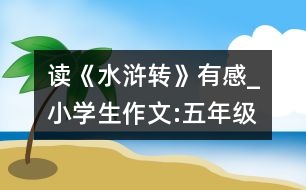 讀《水滸轉(zhuǎn)》有感_小學(xué)生作文:五年級