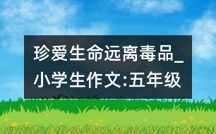 珍愛(ài)生命遠(yuǎn)離毒品_小學(xué)生作文:五年級(jí)