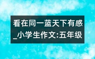 看在同一藍(lán)天下有感_小學(xué)生作文:五年級