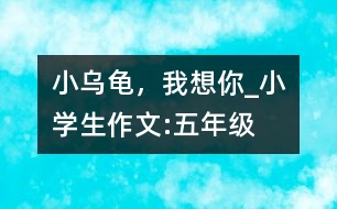 小烏龜，我想你_小學(xué)生作文:五年級(jí)