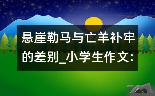 懸崖勒馬與亡羊補牢的差別_小學(xué)生作文:五年級