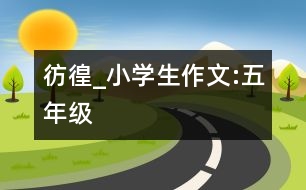 彷徨_小學(xué)生作文:五年級