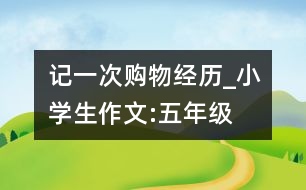 記一次購(gòu)物經(jīng)歷_小學(xué)生作文:五年級(jí)