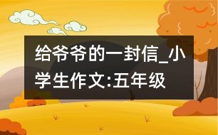 給爺爺?shù)囊环庑臺小學生作文:五年級