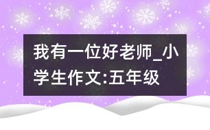 我有一位好老師_小學(xué)生作文:五年級(jí)