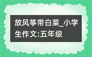 放風(fēng)箏帶白菜_小學(xué)生作文:五年級