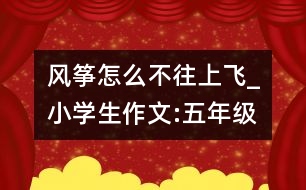 風(fēng)箏怎么不往上飛_小學(xué)生作文:五年級(jí)