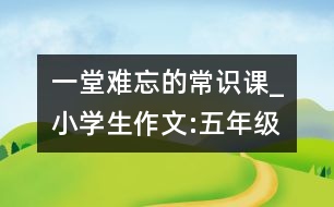 一堂難忘的常識課_小學(xué)生作文:五年級