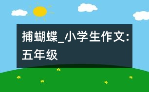 捕蝴蝶_小學(xué)生作文:五年級