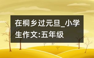 在桐鄉(xiāng)過元旦_小學(xué)生作文:五年級