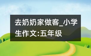 去奶奶家做客_小學(xué)生作文:五年級