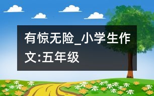 有驚無(wú)險(xiǎn)_小學(xué)生作文:五年級(jí)