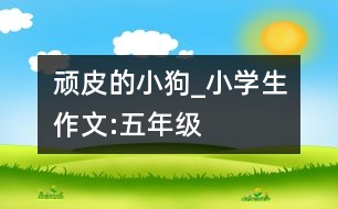 頑皮的小狗_小學(xué)生作文:五年級