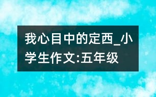 我心目中的定西_小學生作文:五年級