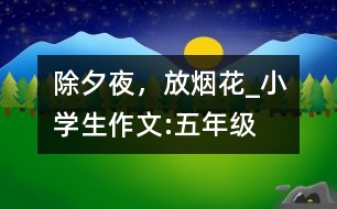 除夕夜，放煙花_小學(xué)生作文:五年級