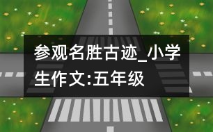 參觀名勝古跡_小學生作文:五年級