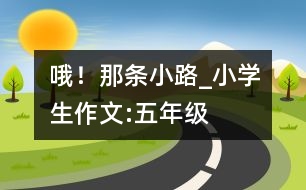 哦！那條小路_小學(xué)生作文:五年級(jí)