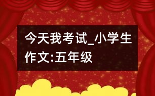 今天,我考試_小學(xué)生作文:五年級(jí)