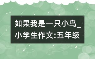 如果我是一只小鳥_小學(xué)生作文:五年級(jí)