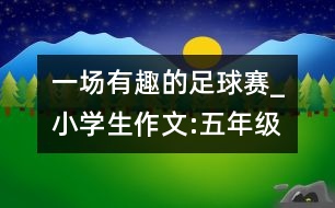 一場有趣的足球賽_小學(xué)生作文:五年級(jí)