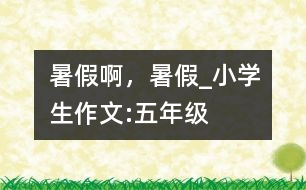 暑假啊，暑假_小學(xué)生作文:五年級(jí)