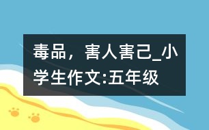 毒品，害人害己_小學生作文:五年級