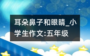 耳朵、鼻子和眼睛_小學(xué)生作文:五年級(jí)