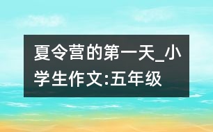 夏令營的第一天_小學(xué)生作文:五年級