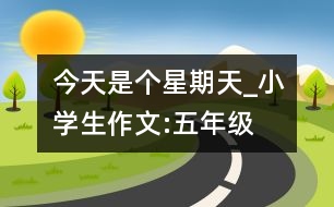 今天是個(gè)星期天_小學(xué)生作文:五年級(jí)