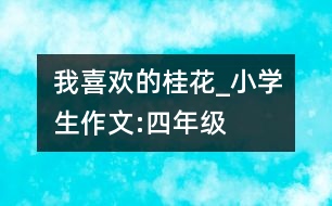 我喜歡的桂花_小學(xué)生作文:四年級(jí)