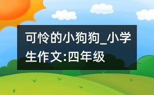 可憐的小狗狗_小學(xué)生作文:四年級