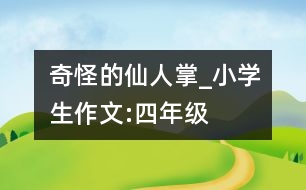 奇怪的仙人掌_小學生作文:四年級