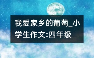 我愛(ài)家鄉(xiāng)的葡萄_小學(xué)生作文:四年級(jí)