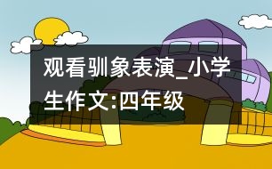 觀看馴象表演_小學生作文:四年級