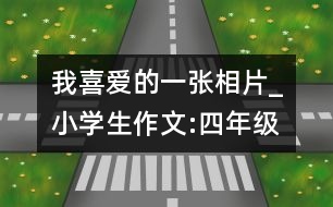 我喜愛的一張相片_小學(xué)生作文:四年級(jí)