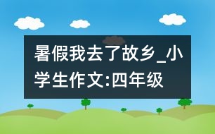 暑假我去了故鄉(xiāng)_小學生作文:四年級