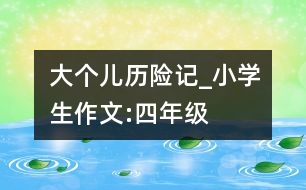 大個(gè)兒歷險(xiǎn)記_小學(xué)生作文:四年級(jí)