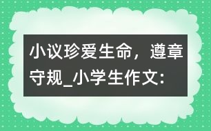 小議“珍愛生命，遵章守規(guī)”_小學(xué)生作文:四年級