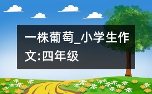 一株葡萄_小學生作文:四年級