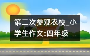 第二次參觀農(nóng)校_小學生作文:四年級