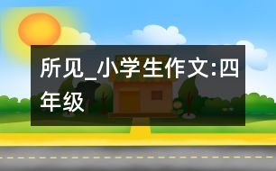 所見_小學(xué)生作文:四年級