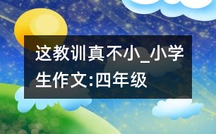 這教訓真不小_小學生作文:四年級