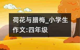 荷花與臘梅_小學(xué)生作文:四年級