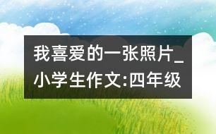 我喜愛的一張照片_小學(xué)生作文:四年級