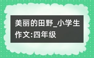 美麗的田野_小學生作文:四年級